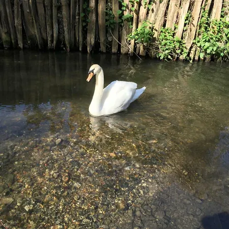 Bed & Breakfast L'ile Normande Hardencourt-Cocherel